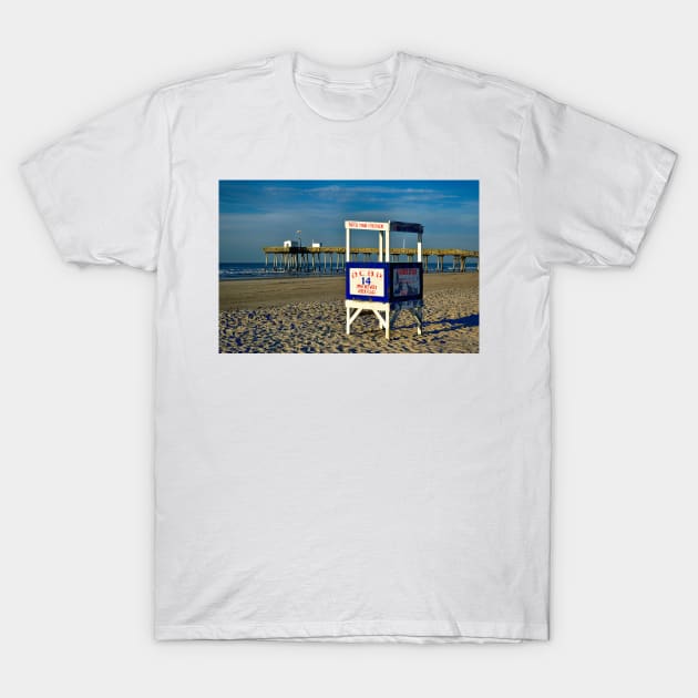 Beautiful Day At The Beach T-Shirt by JimDeFazioPhotography